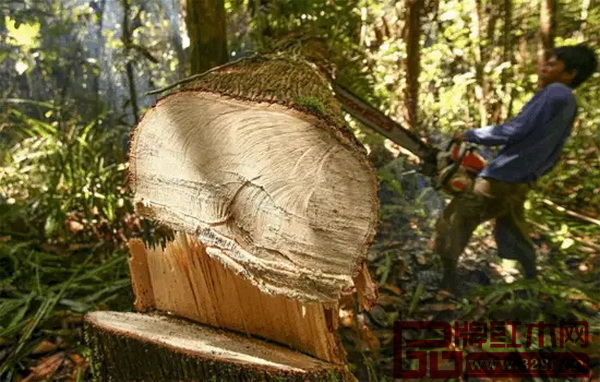 缅甸军方2015年1月2日开始大规模针对缅北盗伐木材进行抓捕