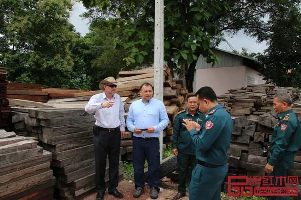2017年，CITES官员在老挝视察被扣押的交趾黄檀木材现场